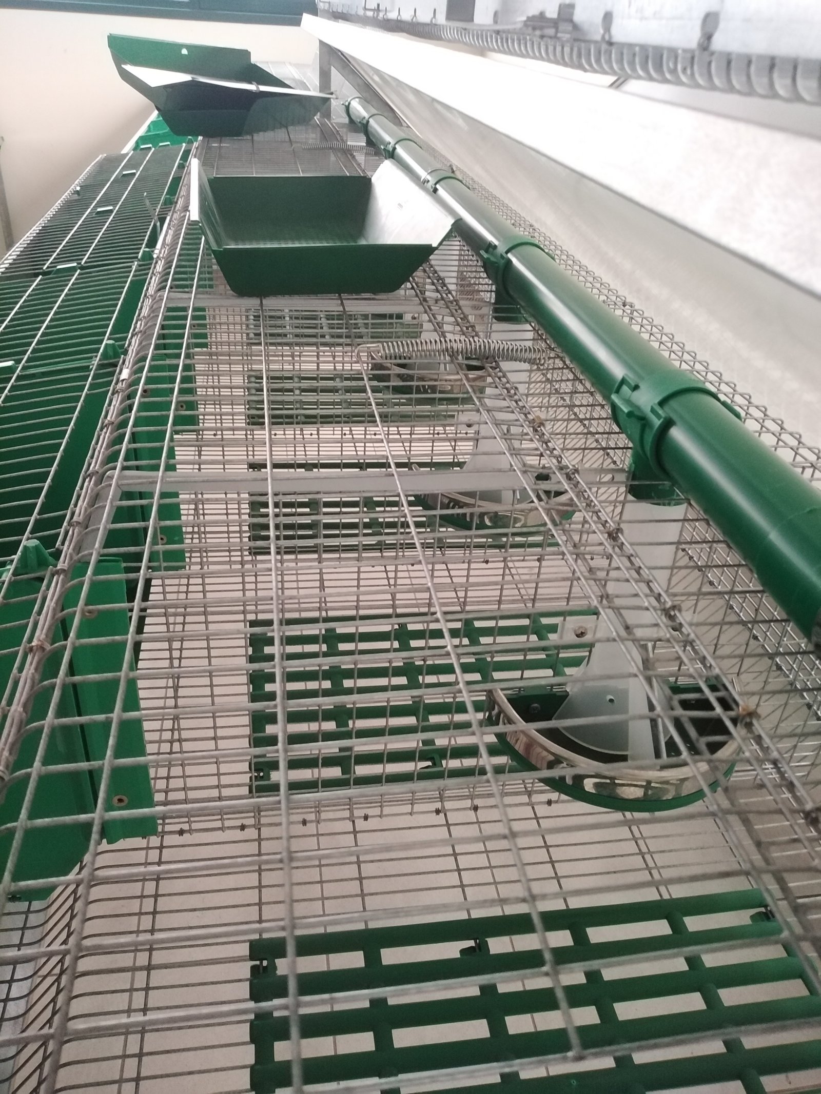 Unidad de Producción Cunícola - Meneghin México